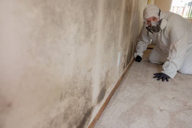 Best Indoor Air Quality Assessment  in Asotin, WA