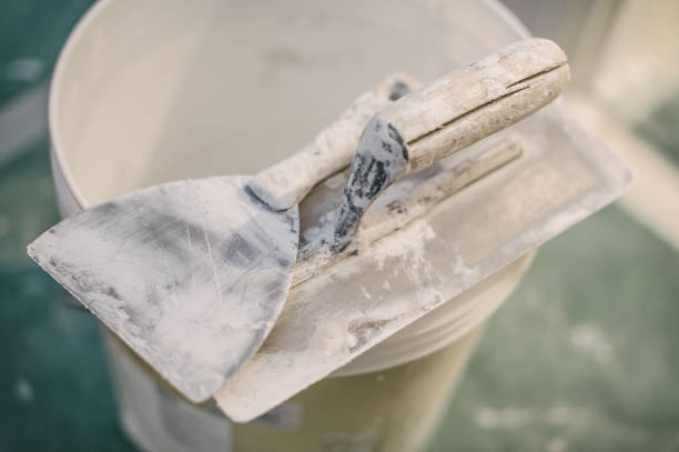 Best Attic Mold Removal  in Asotin, WA