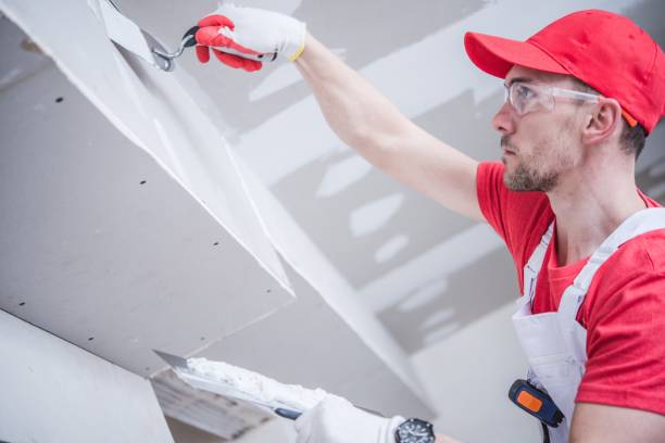 Best Forensic Mold Investigation  in Asotin, WA