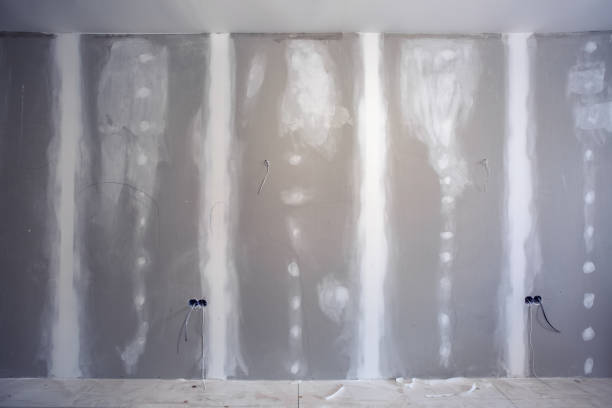Best Real Estate Mold Inspection  in Asotin, WA